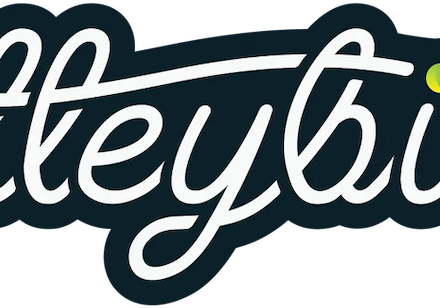 VolleybirdLogoPressRelease